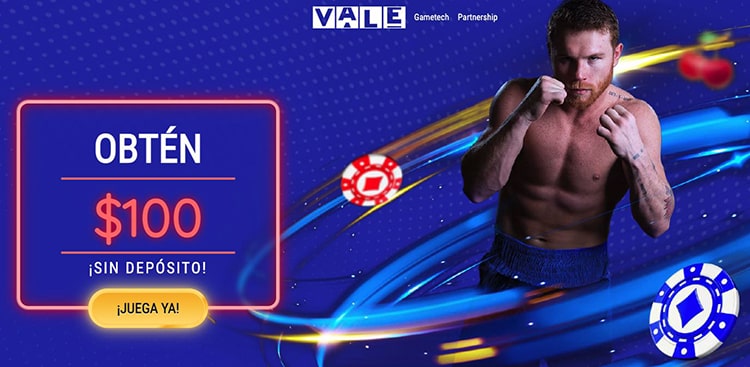 Casino Vale'de oynayabileceğiniz çok sayıda farklı oyun seçeneği bulunmaktadır